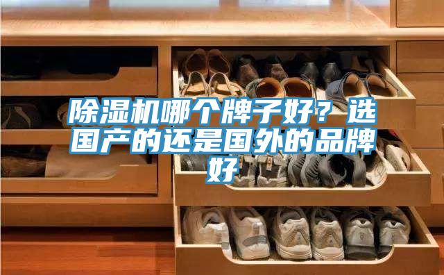 除濕機哪個牌子好？選國產的還是國外的品牌好