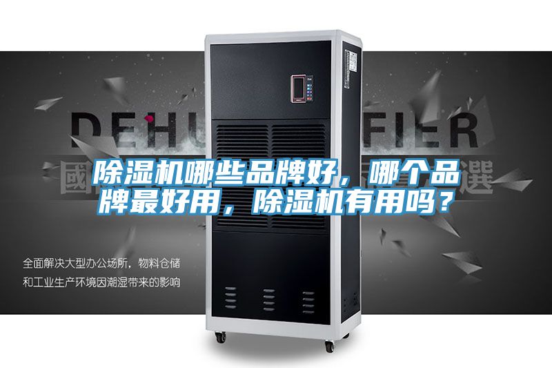 除濕機哪些品牌好，哪個品牌最好用，除濕機有用嗎？
