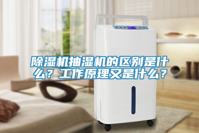 除濕機抽濕機的區(qū)別是什么？工作原理又是什么？