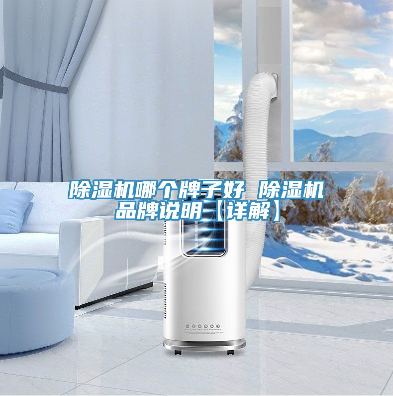 除濕機(jī)哪個(gè)牌子好 除濕機(jī)品牌說明【詳解】