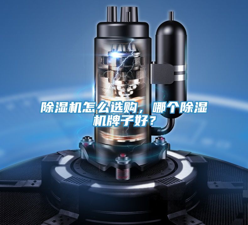 除濕機怎么選購，哪個除濕機牌子好？