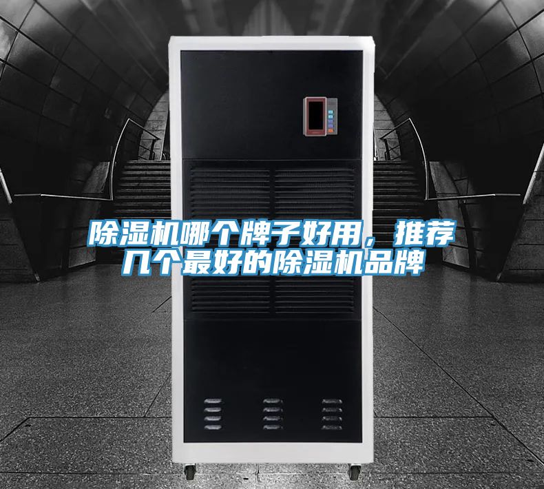 除濕機哪個牌子好用，推薦幾個最好的除濕機品牌