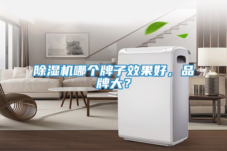 除濕機哪個牌子效果好，品牌大？