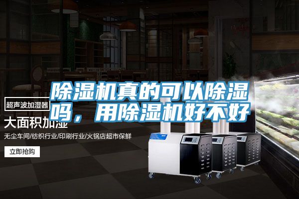 除濕機真的可以除濕嗎，用除濕機好不好