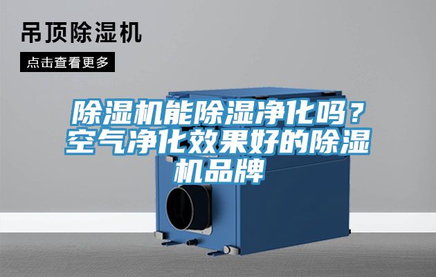 除濕機能除濕凈化嗎？空氣凈化效果好的除濕機品牌