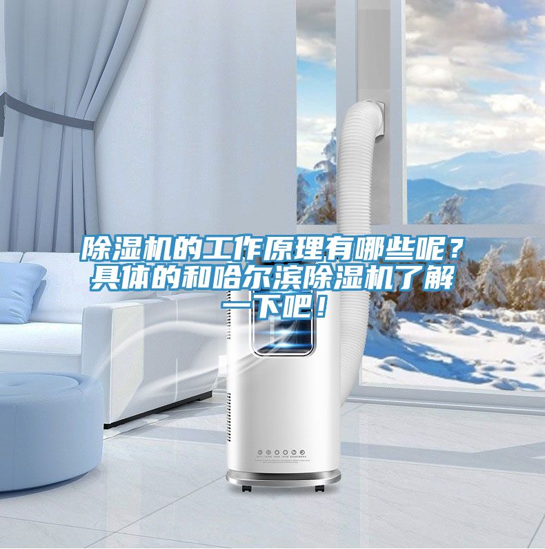 除濕機的工作原理有哪些呢？具體的和哈爾濱除濕機了解一下吧！