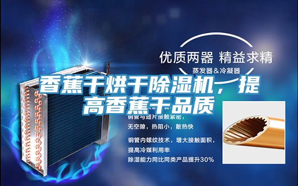 香蕉干烘干除濕機(jī)，提高香蕉干品質(zhì)