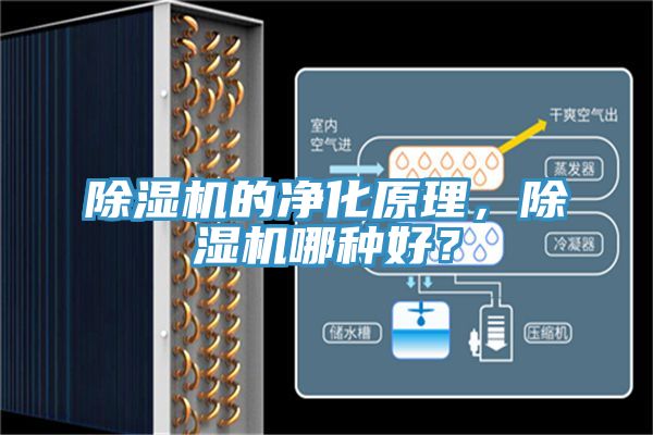 除濕機的凈化原理，除濕機哪種好？