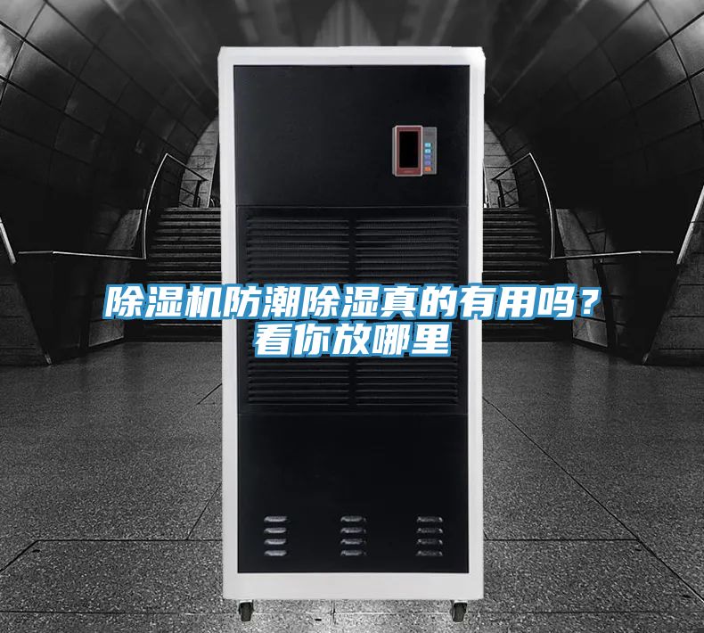 除濕機防潮除濕真的有用嗎?看你放哪里