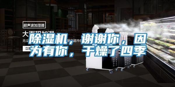 除濕機，謝謝你，因為有你，干燥了四季