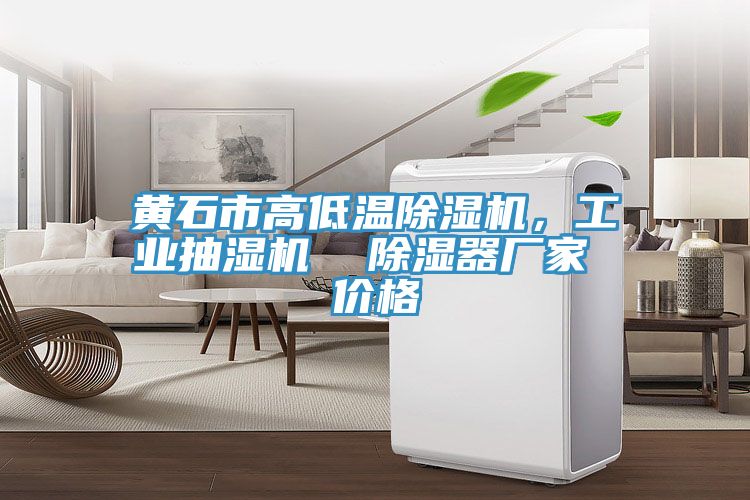 黃石市高低溫除濕機,工業抽濕機 除濕器廠家 價格